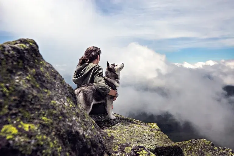 passear com cachorro, melhor horário, passeio com cachorro no verão, passeio com cachorro no inverno, dicas para passear com cachorro, cuidados ao passear com cachorro, saúde do cachorro, bem-estar animal